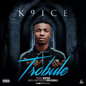 K9ice - Trouble
